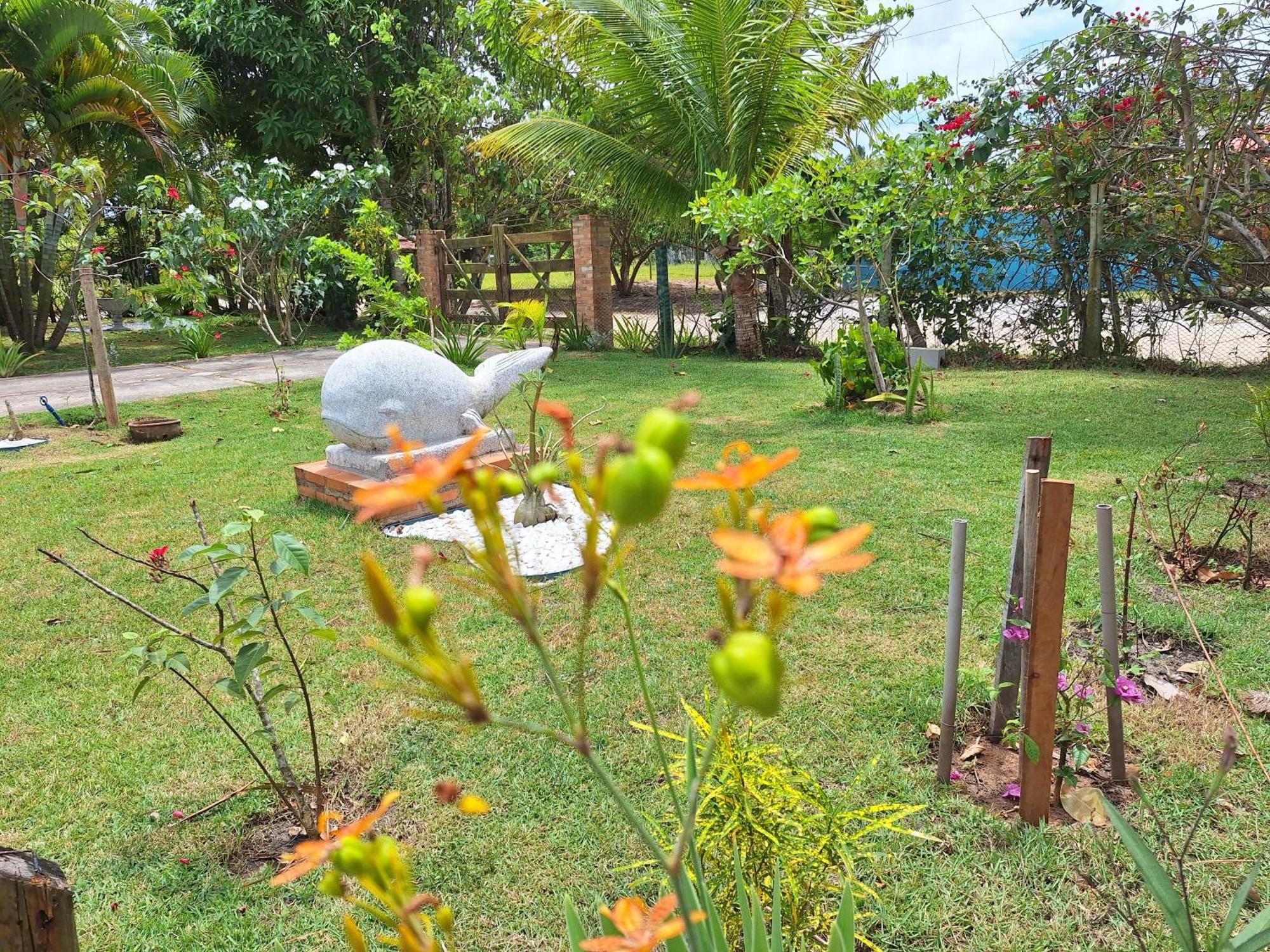 Casas Lindas No Paraiso! Costa Dourada Exteriör bild
